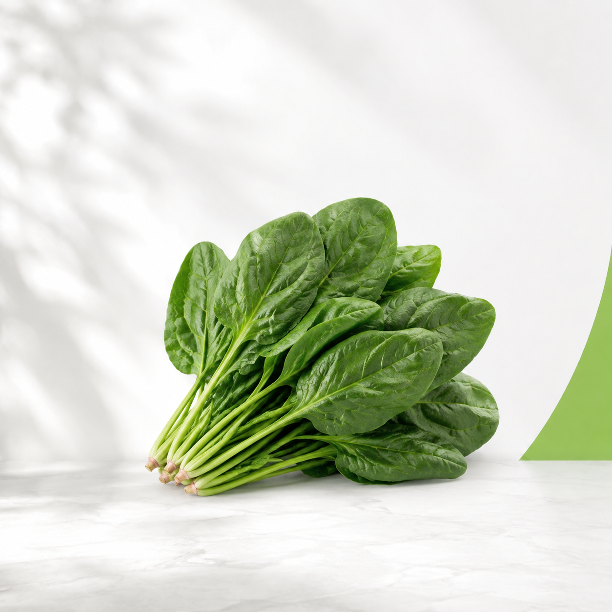 سبانخ — Green Guide