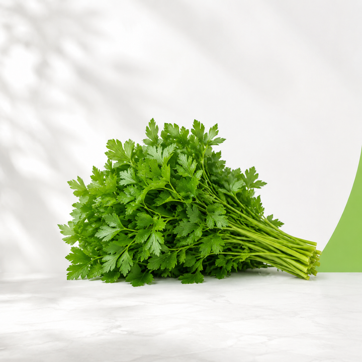 بقدونس — Green Guide