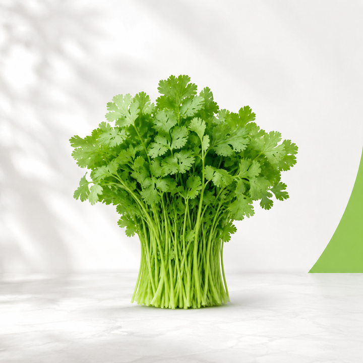كزبرة — Green Guide