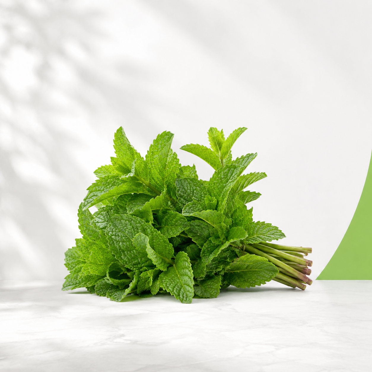 نعنع — Green Guide
