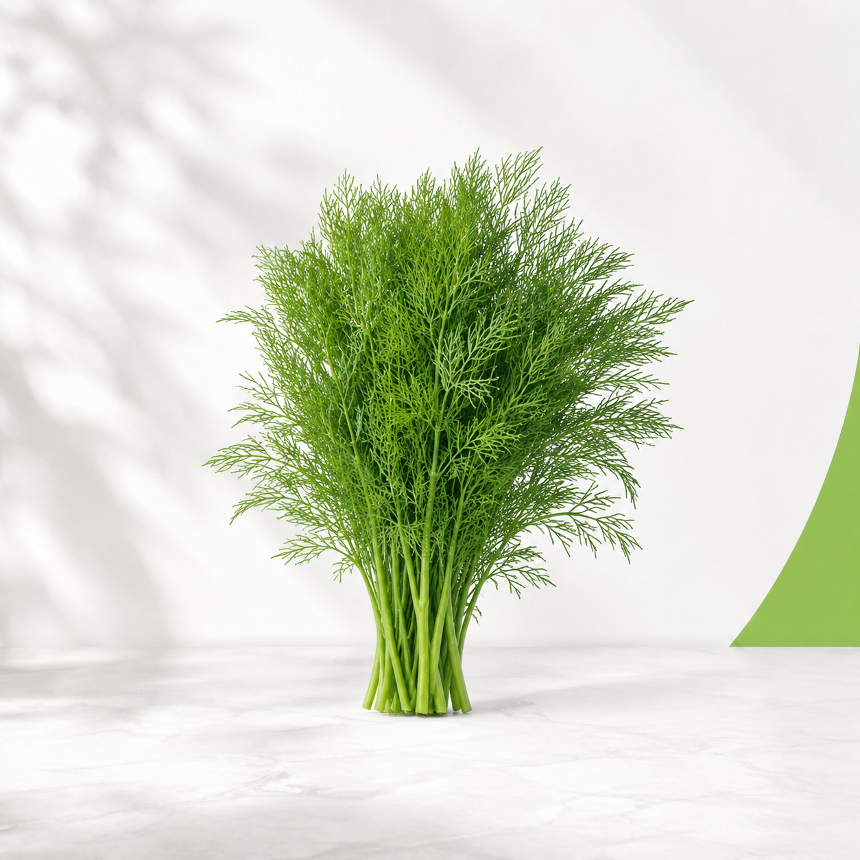 شبت — Green Guide