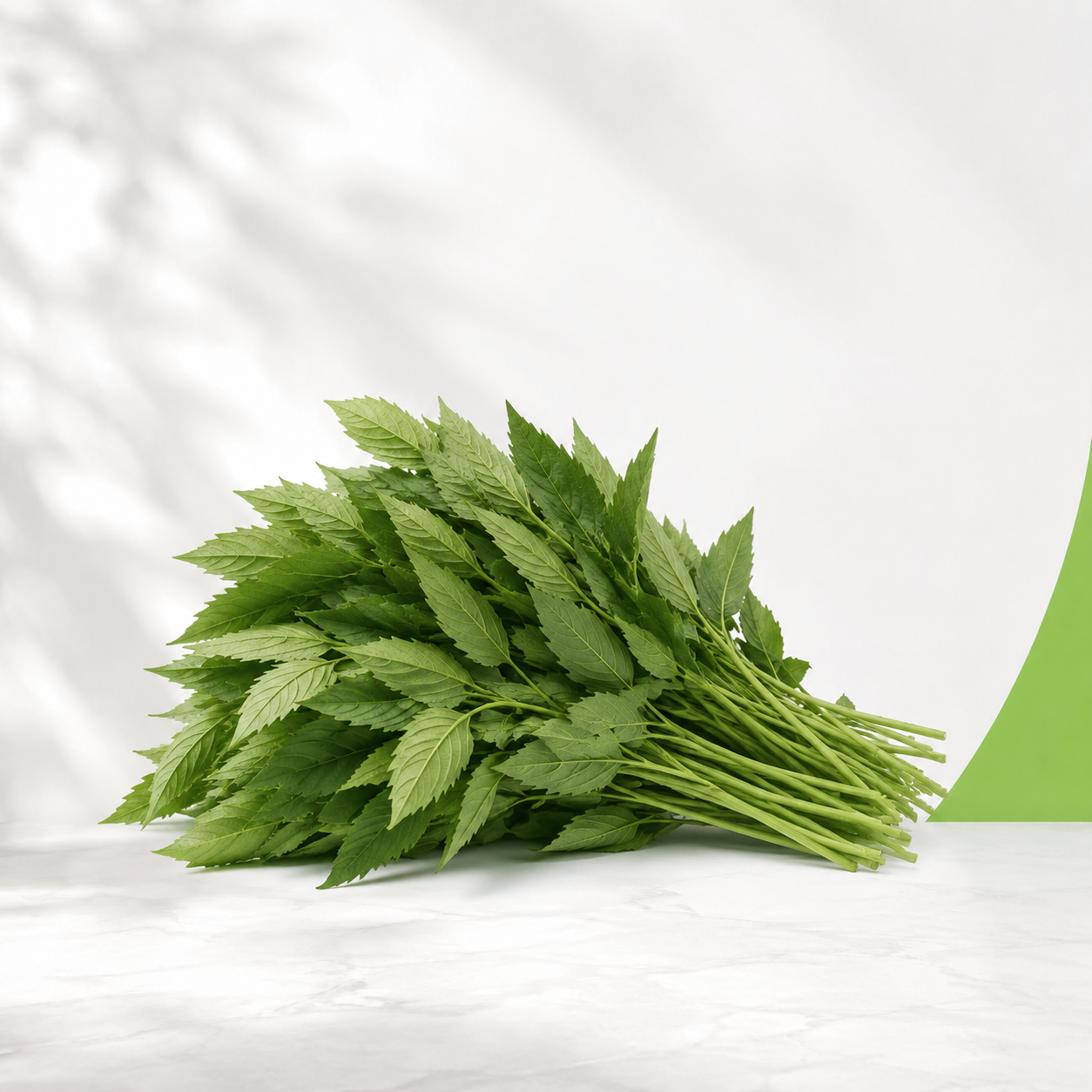 ملوخية — Green Guide