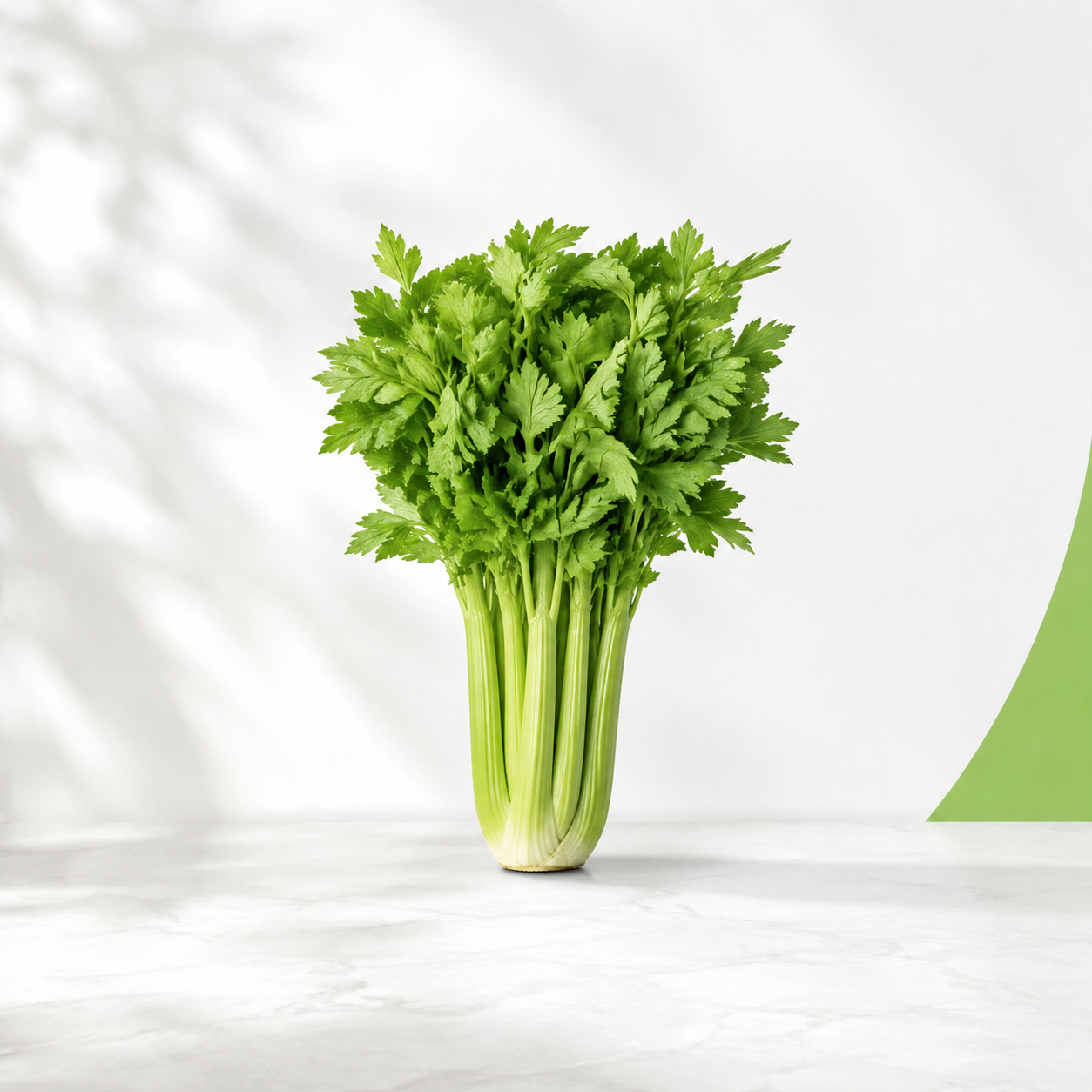 كرفس — Green Guide