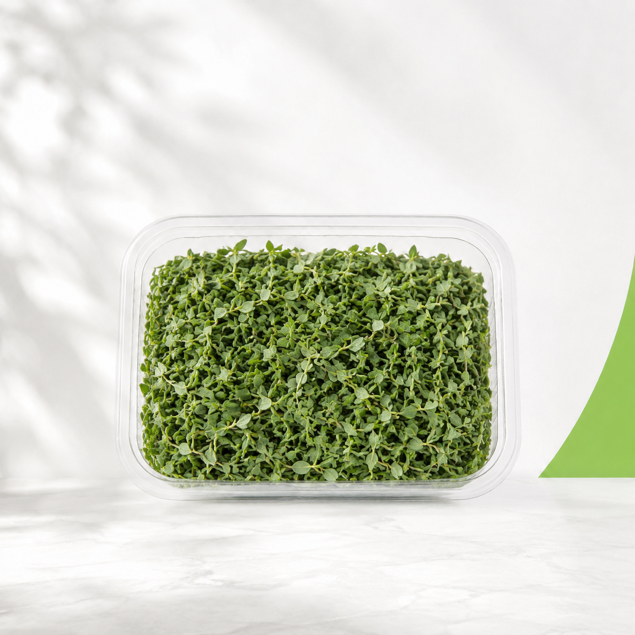 زعتر ورق — Green Guide