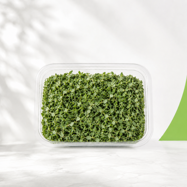 زعتر ورق — Green Guide