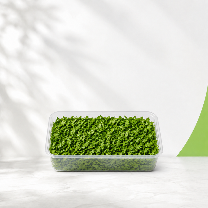 بقدونس مفروم — Green Guide